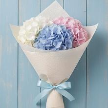 Букет цветов из:  Гортензия #REPLACE_PRED# Межевом