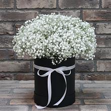Цветочная композиция из Гипсофила в шляпной коробке в Межевом