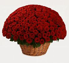 Премиум букет из: Розы в Межевом